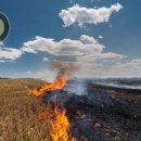 آتش زدن کاه و کلش گندم ممنوع است!!!