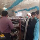 بازدید از کارگاه پرورش قارچ در جاورده