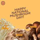 روز قـــارچ Mushroom day