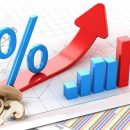 افزایش قیمت قارچ