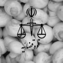 معرفی 26 واحد متخلف پرورش قارچ
