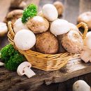 تقویت سیستم ایمنی بدن با قارچ های خوراکی و دارویی