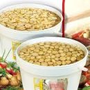 قارچ و صنایع تبدیلی رابطه متقابل دارند