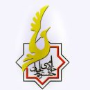 کسب رتبه دوم دانش آموزان البرز در جشنواره خوارزمی
