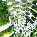 وبینار کشاورزی شهری برگزار میشود